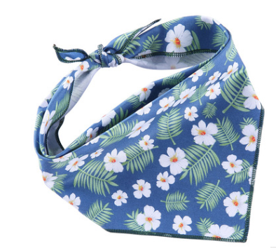 รูปแบบ F