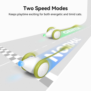 Cho cheerble <span class=keywords><strong>2025</strong></span> thân thiện với môi PVC ít chuột đồ chơi thời trang thể thao tương tác mèo ẩn và tìm kiếm đồ chơi với đuôi - Product Image 2
