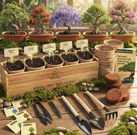 Kit de démarrage de bonsaï personnalisé DIY avec outils et différentes espèces d'arbres - Choix de cadeau dans un emballage créatif