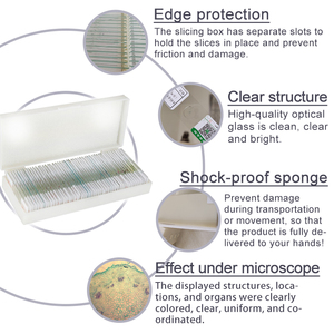 Lames préparées de microscopie de cellules végétales typiques <span class=keywords><strong>pour</strong></span> l'enseignement de <span class=keywords><strong>la</strong></span> botanique, spécifiquement sur <span class=keywords><strong>la</strong></span> <span class=keywords><strong>conjugaison</strong></span> de Spirogyra, Yulin Support, personnalisation possible - Product Image 4