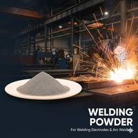 Poudre de fer atomisée à l'eau Fe≥99,9% 100-325 Mesh pour électrodes de soudage MIM (Moulage par Injection de Métaux) et pièces PM