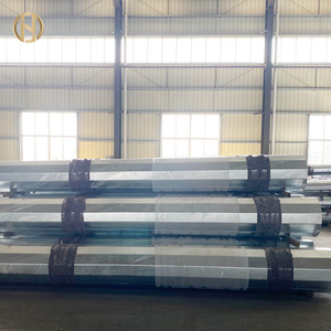 FT02-Chiếu Sáng Đường Phố Cực (Đôi Cánh Tay Cấu Hình) - Product Image 5