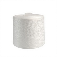 Fil à coudre en polyester filé à âme poly, blanc brut, torsion TFO 12/2 16/2 29/2 40/2 45/2 48/2 55/2 60/2