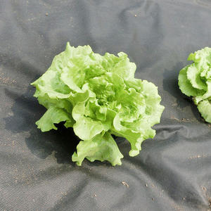 Bloc de contrôle des mauvaises herbes OEM pour l'agriculture, tapis de couverture du <span class=keywords><strong>sol</strong></span>, tissu non tissé PP Spunbond 20gr, pour application agricole - Product Image 4