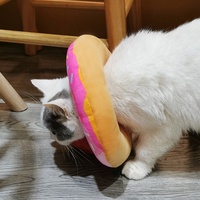 Collier élisabéthain pour chats et chiens - anti-léchage, protège-tête chirurgical souple en forme de donut, emballé sous vide
