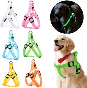 สายจูงสุนัข LED แบบชาร์จไฟได้เสื้อกั๊กเรืองแสงในที่มืดเรืองแสงสำหรับใช้กลางแจ้งแมวและสุนัขที่มีคุณสมบัติให้แสงสว่าง - Product Image 2