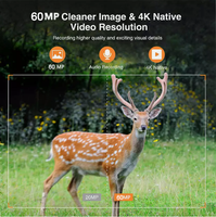 Nouvelle caméra de piste vidéo Wifi S810W 8K 60MP à énergie solaire MP4 avec batterie 5200mAh angle sauvage de 120 ° pour la vision nocturne de chasse