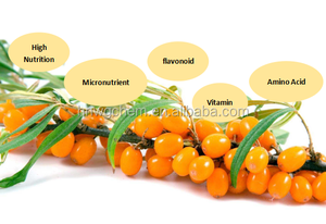 Hữu cơ cây hắc mai biển Berry puree trái cây chiết xuất axit amin flavone và vitamin phong phú chân không đóng gói trống đóng gói - Product Image 6