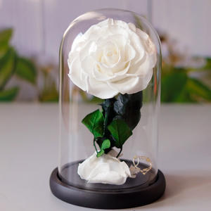 Rosa Preservada del Principito en Cúpula de Cristal, Regalo para el Día de San Valentín, Decoración para el Hogar, Regalo para el Día de la Madre - Product Image 5