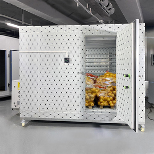 Tùy Chỉnh 220V Di Động Lạnh Thiết Bị Lưu Trữ Thiết Lập Cho Tươi Đông Lạnh Thịt Trái Cây Rau <span class=keywords><strong>Ice</strong></span> Container Đơn Vị - Product Image 1