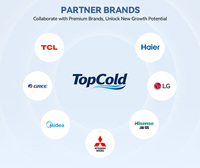 Climatiseur mural intelligent à onduleur 50Hz de luxe 9000 12000 18000 24000 BTU avec compresseur Gree et Wi-Fi – Prix de gros