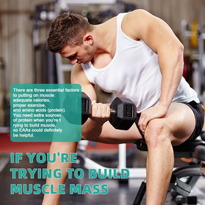 Pabrik grosir suplemen olahraga pra latihan 8000 mg rantai asam Amino esensial Aminos BCAA EAA Gummies - Product Image 3