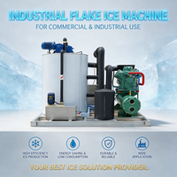 Machine à glace en flocons d'eau de mer personnalisable en SUS316 pour bateaux de pêche en haute mer et la conservation des fruits de mer frais