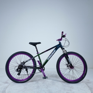 2026 Bestseller Mountainbike 26 Zoll Stahlfedergabel Doppelscheibenbremse 21-Gang Aluminiumlegierung Starrer Rahmen 26*2,5 Reifen - Product Image 2