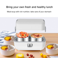 Boîte à Bento électrique Portable étanche, chauffage électrique des aliments, boîte à déjeuner, Mini soupe, ragoût, cuiseur de riz
