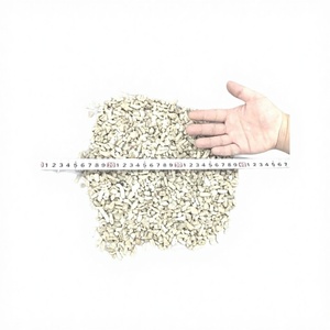 Arena Filtrante para Acuario BITICO Vietnam Ecológica de Cerámica de 10 mm, Modelo 10mm - Product Image 1