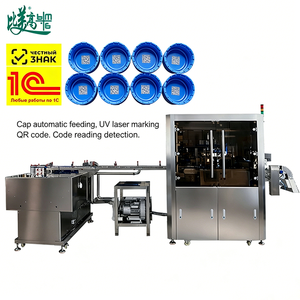 Système de marquage laser automatique par code QR avec autofocus et inspection visuelle pour le rejet des codes QR et des dates sur les bouchons de bouteilles - Product Image 6