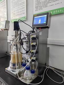 เครื่องหมักชีวภาพแบบแก้วขนาด 5 ลิตร พร้อมระบบกวนแบบกลไก สำหรับใช้ในห้องปฏิบัติการ รุ่น BLBIO-GJ - Product Image 2