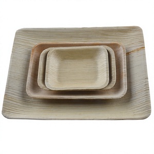 Bandeja Rectangular Plana Desechable de Hoja de Palma de 10x6 Pulgadas, Ecológica, Ligera, Biodegradable, Apta para Microondas, Impermeable, Apta para Congelador - Product Image 4