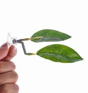 Betta Leaf Aquarium Scenery Betta Bed Laying Leafシミュレーションプラスチック水草装飾 - Product Image 2