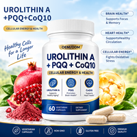 Capsules Antioxydantes Urolithin PQQ CoQ10 Marque Blanche Formule Personnalisée Complément Anti-Âge Sain OEM/ODM Qualité Alimentaire 60 Gélules