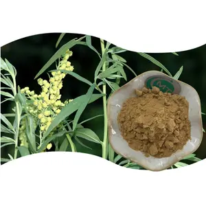 100% Pure Natural Estragon Extract Artemisia Dracunculus Extract 10:1 Tarragon Extract