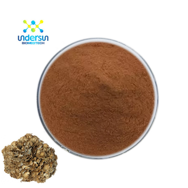 Undersun Wild Maitake Mushroom & Massa Medicata Fermentata Extract Powder 100% Natural Top Grade