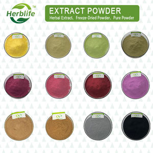 Capsules de Pueraria Mirifica Biologiques à Vente Chaude OEM/ODM, Soutient la Santé des Femmes, la Santé de la Peau et l'Énergie, Herbes Naturelles Biologiques - Product Image 5