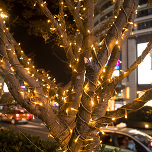 20M 30M 50m 220V dẫn chuỗi Lights cho bên ngoài trời trang trí nhiều màu sắc không thấm nước đèn giáng sinh cho ngày lễ - Product Image 2