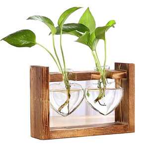Soporte de Madera Vintage para Escritorio, Terrario de Vidrio, Maceta Hidropónica, Florero, Decoración para Hogar y Jardín - Product Image 1