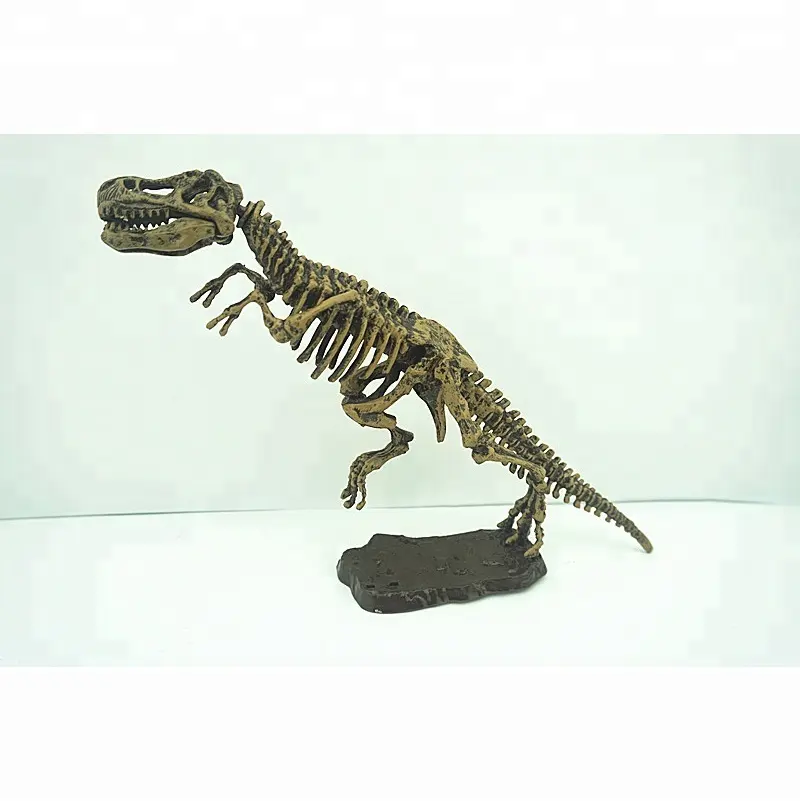 Squelette de dinosaure à haute émulation modèle 3D jouets de squelette de dinosaure tyrannosaure