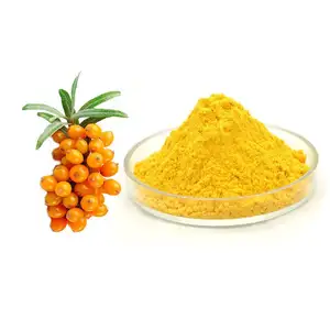 Organic Sea buckthorn juice powder from China Factory