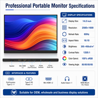 Moniteur portable 2,5K, écran secondaire pour ordinateur portable de 14 pouces 16:10, type-C, mini, plug and play, écran de voyage