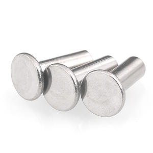 Din7338 304 316 Roestvrij Staal M2 M2,5 M3 M4 M5 M6 Semi-Buisvormige Klinknagel Dunne Platte Kop Semi-Buisvormige Klinknagels Met Hol Uiteinde - Product Image 3