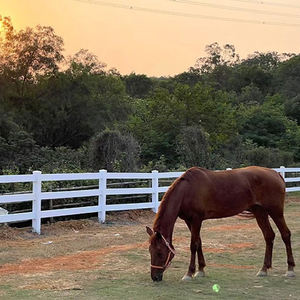 Великая ферма, лошадь, белый ПВХ, трехполюсный забор, решетка, конюшня, конюшня - Product Image 4