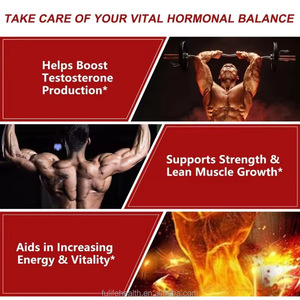 Booster de testostérone, capsules de renforcement masculin en gros, poudre de testostérone fiable, vitalité masculine fiable - Product Image 3