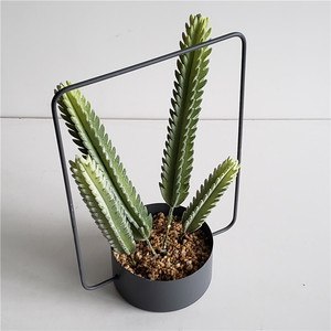 De Metal moderno de pared y techo pote del plantador de mejor <span class=keywords><strong>venta</strong></span> <span class=keywords><strong>en</strong></span> el medio siglo para la decoración del hogar - Product Image 3