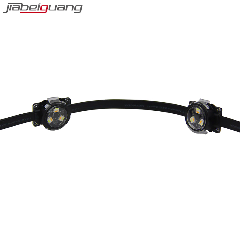 Outdoor WBW Pixel LED Point Lights for Building Landscape IP68 Christmas Decoration From Amusement Park PC Lamp Body Material