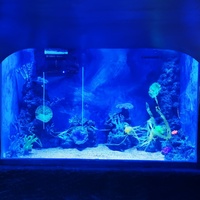 Usine personnalisée grand aquarium de bureau moderne rectangulaire en acrylique Aquarium ensemble complet Offre Spéciale"