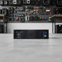 Module d'amplificateur de puissance professionnel 2 canaux HPL3.0-A, carte d'amplification audio haute efficacité pour scène et performances KTV