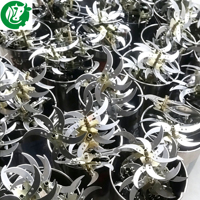 Nueva Trituradora de Vegetales Multiusos de Acero Inoxidable, Máquina para Picar Repollo, Zanahoria y Pasto para Alimento de Aves de Corral y Pequeñas Granjas