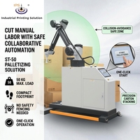 Palettiseur Cobot Automatique, Charge Utile 50kg, 6 Pièces/Min, Machine de Palettisation à Bras Robotisé pour Ligne d'Emballage et d'Empilage de Cartons
