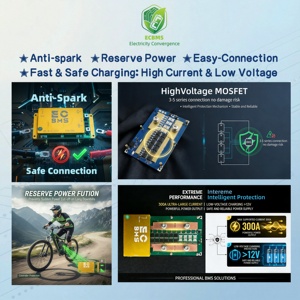 Inversor Inteligente <span class=keywords><strong>EC</strong></span> con BMS 32S 96V LifePO4 300A para Baterías de Litio LifePO4, Carritos de Golf, Baterías de Litio 18650 28S 70V, Placa BMS Inteligente 4S, RS485 - Product Image 5