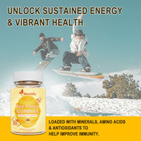 Gummies de pollen d'abeille sans sucre 1000 mg avec propolis, personnalisables OEM, directement de l'usine, pour le soutien immunitaire et la santé de la peau, adaptés à tous les styles de vie