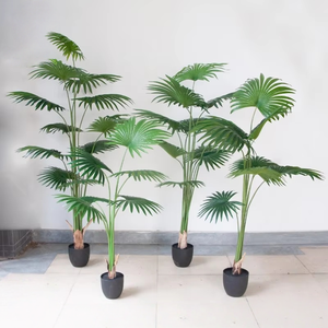 <span class=keywords><strong>Palmier</strong></span> artificiel chinois en <span class=keywords><strong>éventail</strong></span>, <span class=keywords><strong>palmier</strong></span> simulé haut de gamme pour l'aménagement paysager de vitrine de magasin, décoration de <span class=keywords><strong>palmier</strong></span> en plastique, vente en gros - Product Image 1