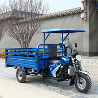 Tricycle cargo Hanwei Power, performance fiable, transmission 5 vitesses, 200cc, pour transport communautaire
