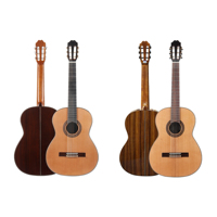 Gitar Klasik Senar Nilon WaveGarden C50 & C80