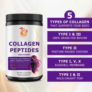 Collagène de Poisson Sauvage Bovin Nourri à l'Herbe, Peptides de Collagène de Poulet Type II, Acide Hyaluronique, Probiotiques 5B CFU, Poudre pour l'Hydratation de la Peau et la Santé Intestinale - Product Image 5
