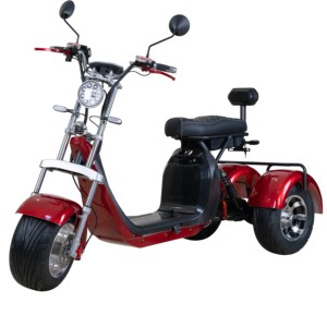 Smarda Long Range 3000W 2000W 3 Ruedas Scooter Eléctrico Citycoco <span class=keywords><strong>Para</strong></span> Personas Discapacitadas - Product Image 1