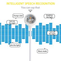 Coloré commande vocale coucher de soleil lumière boîtier intelligent musique rythme lampe décor à la maison coin à côté de la veilleuse